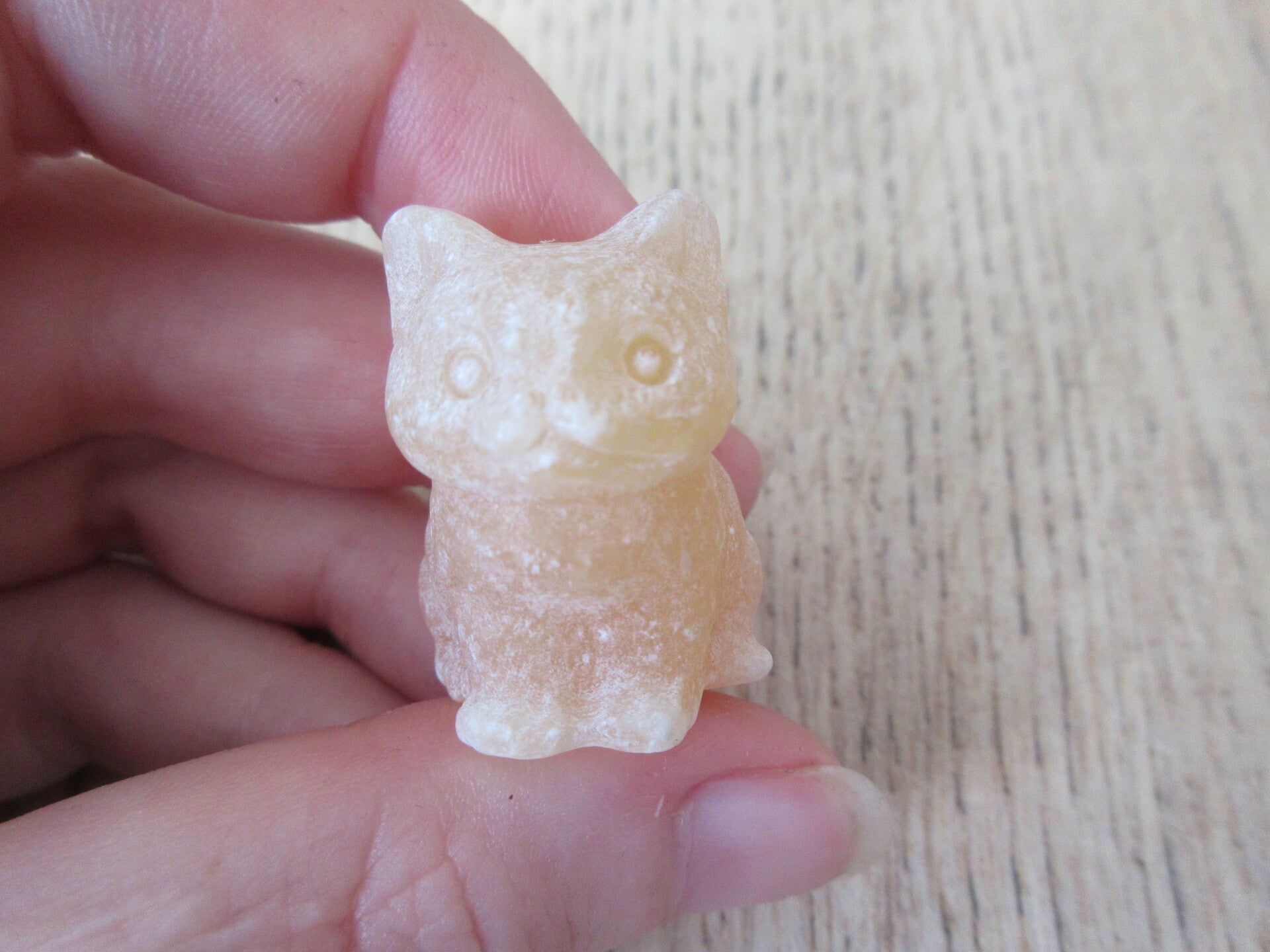 Kat Zittend Gele Calciet (#694)