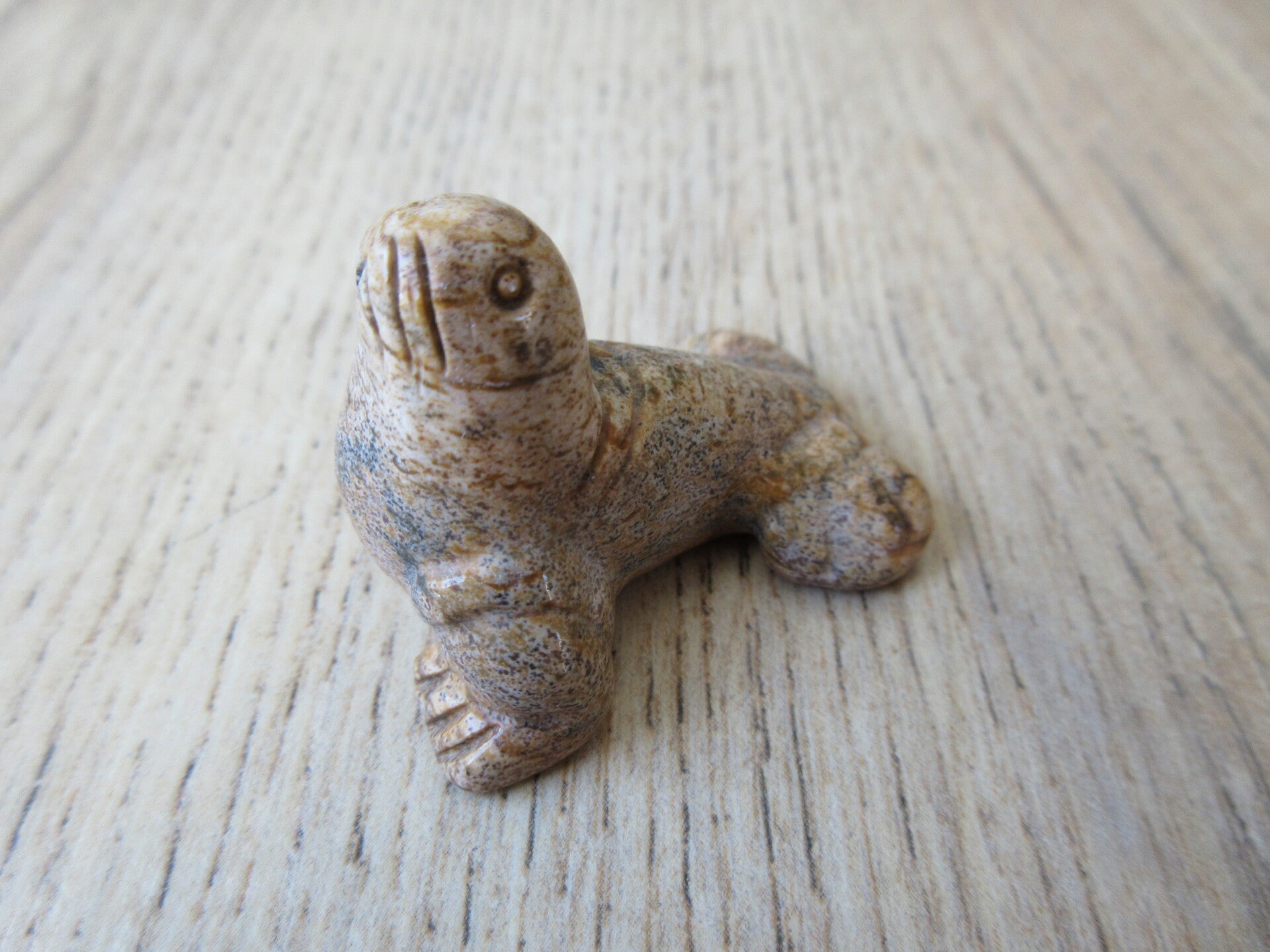 Walrus Landschaps Jaspis (#705)