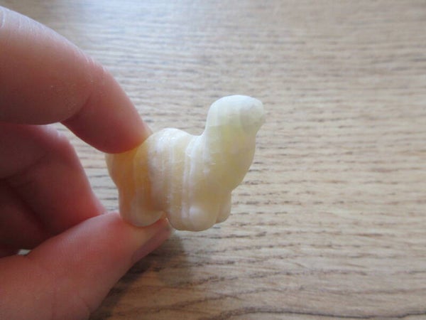 Dino Brontosaurus Gele Calciet (#729)