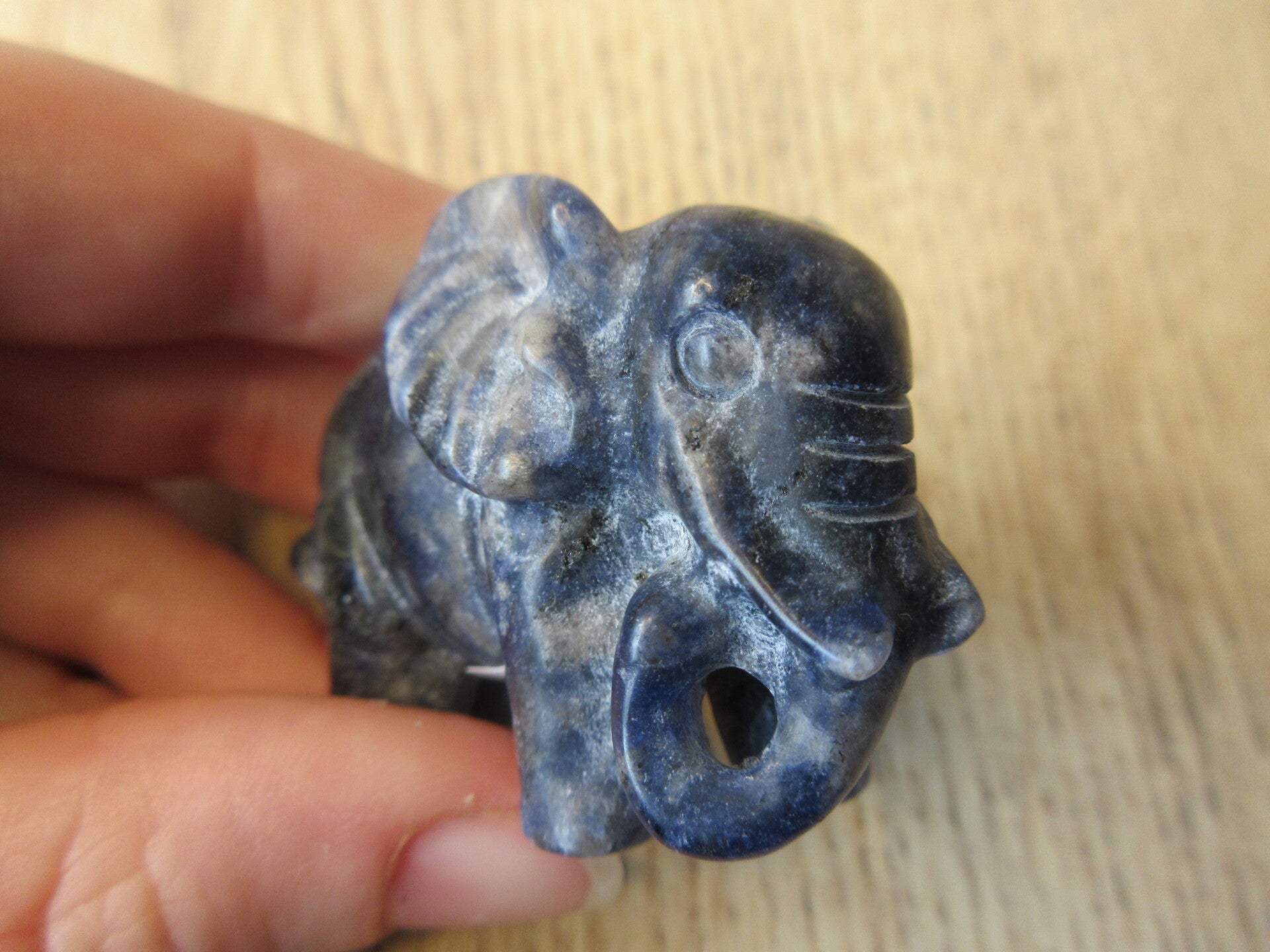 Olifant Sodaliet (#77)