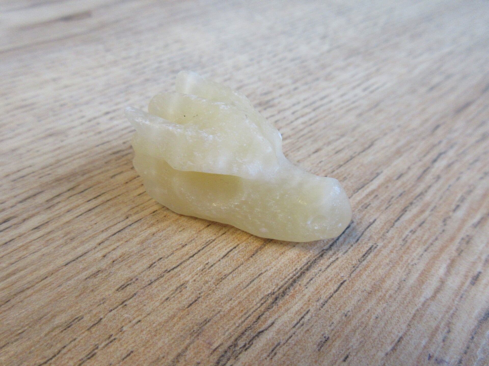 Drakenschedel Gele Calciet (#974)