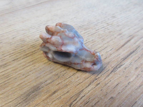 Drakenschedel Red web Picasso Jaspis (#976)