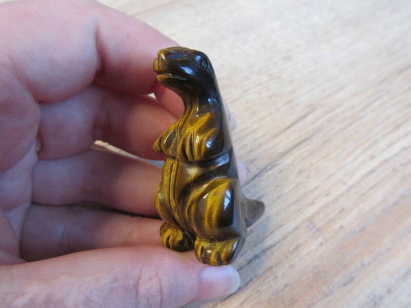 Dinosaurus Tijgeroog (#978)