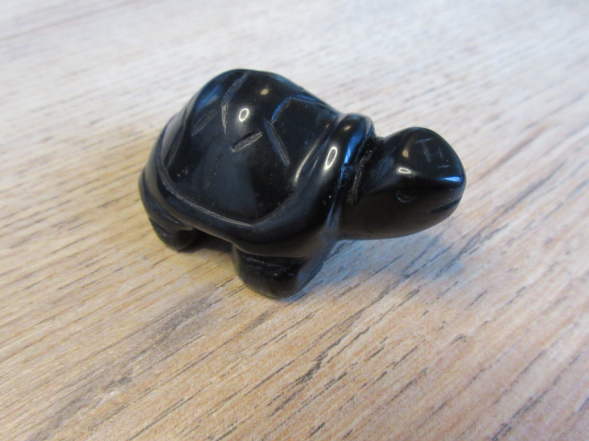 Schildpad Obsidiaan (#987)