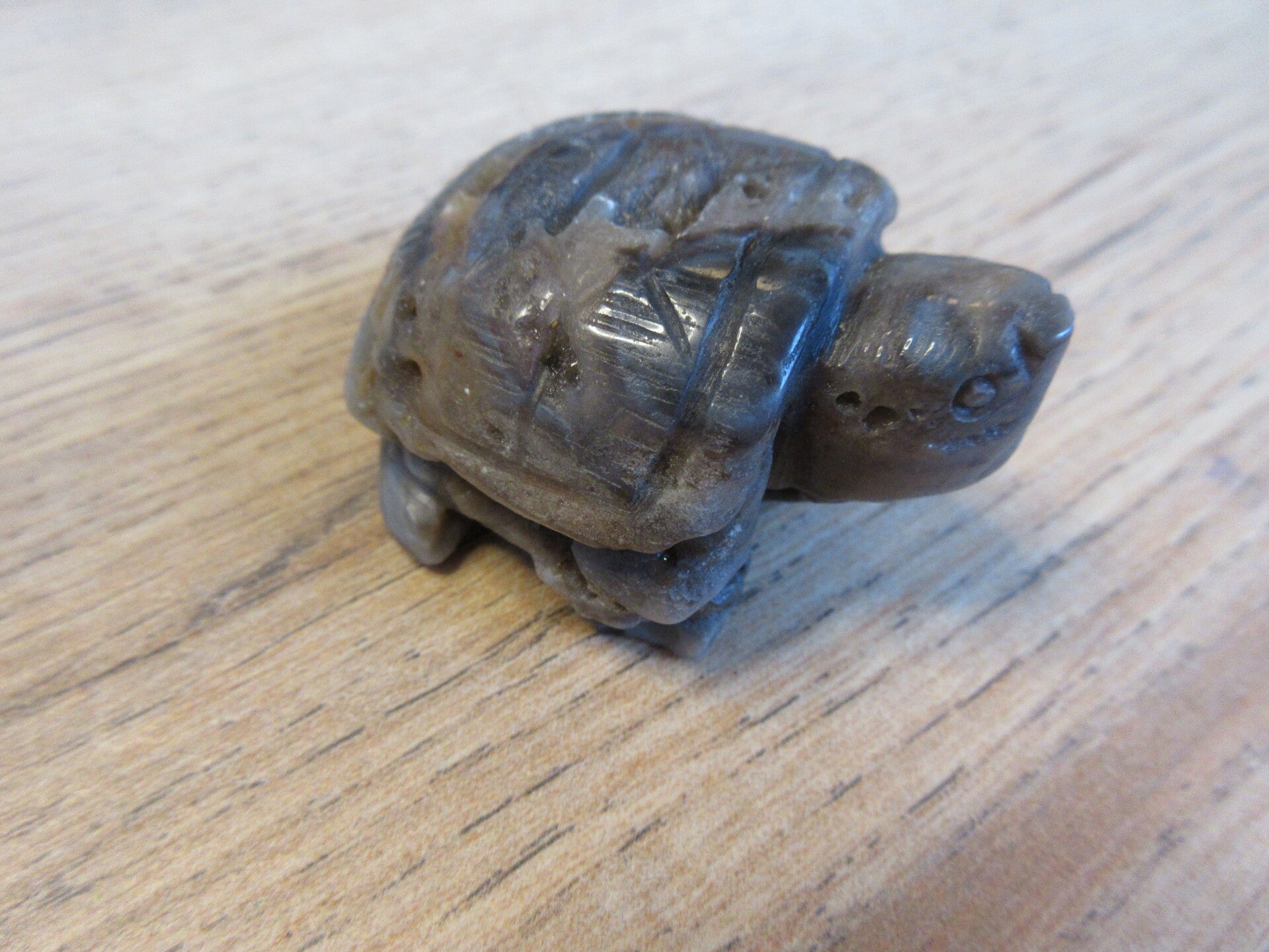 Schildpad Sfaleriet (#991)