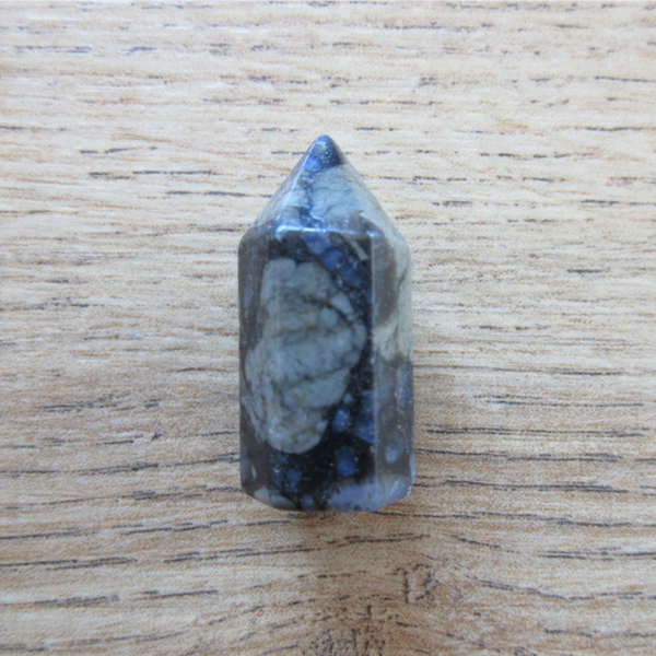 Torentje Orteceras fossiel (#1163)