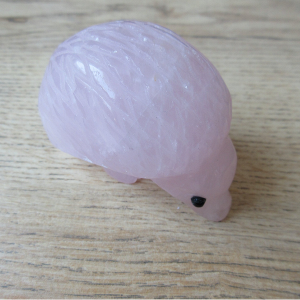 Egel Rozenkwarts (#920)