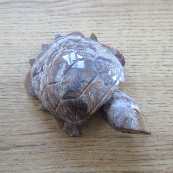 Schildpad Roze Mosagaat (#1112)