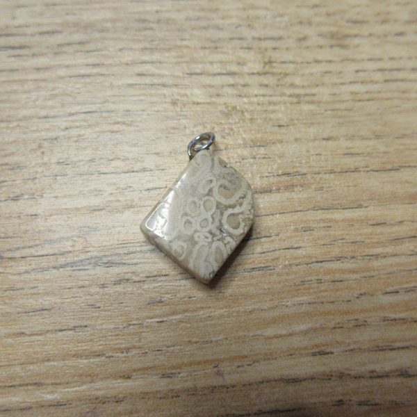 Hanger Versteende Varen (K231)