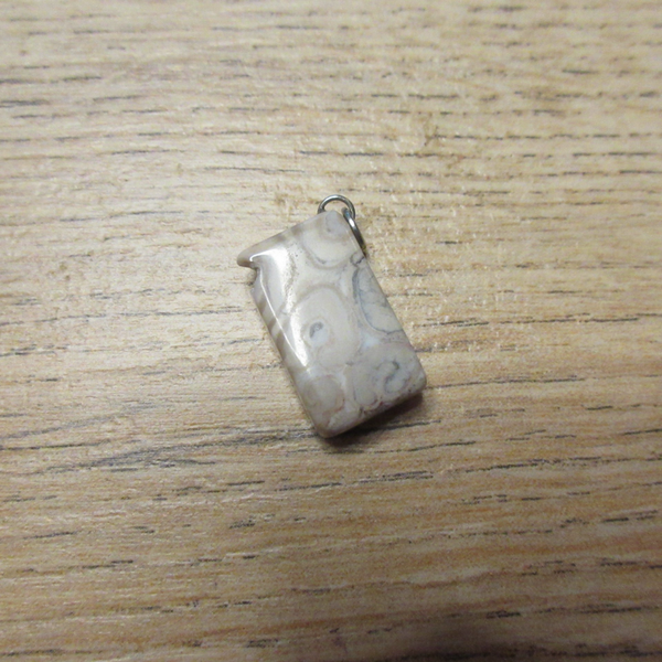 Hanger Versteende Varen (K227)