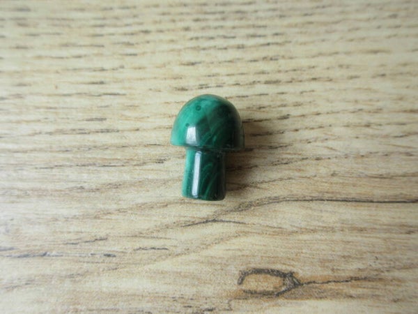 Paddestoel Malachiet (#762)