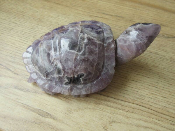 Schildpad Amethist groot (#802)