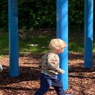 d2e56067-fedc-4ef9-8eb7-7c086eb87ac3.jpg