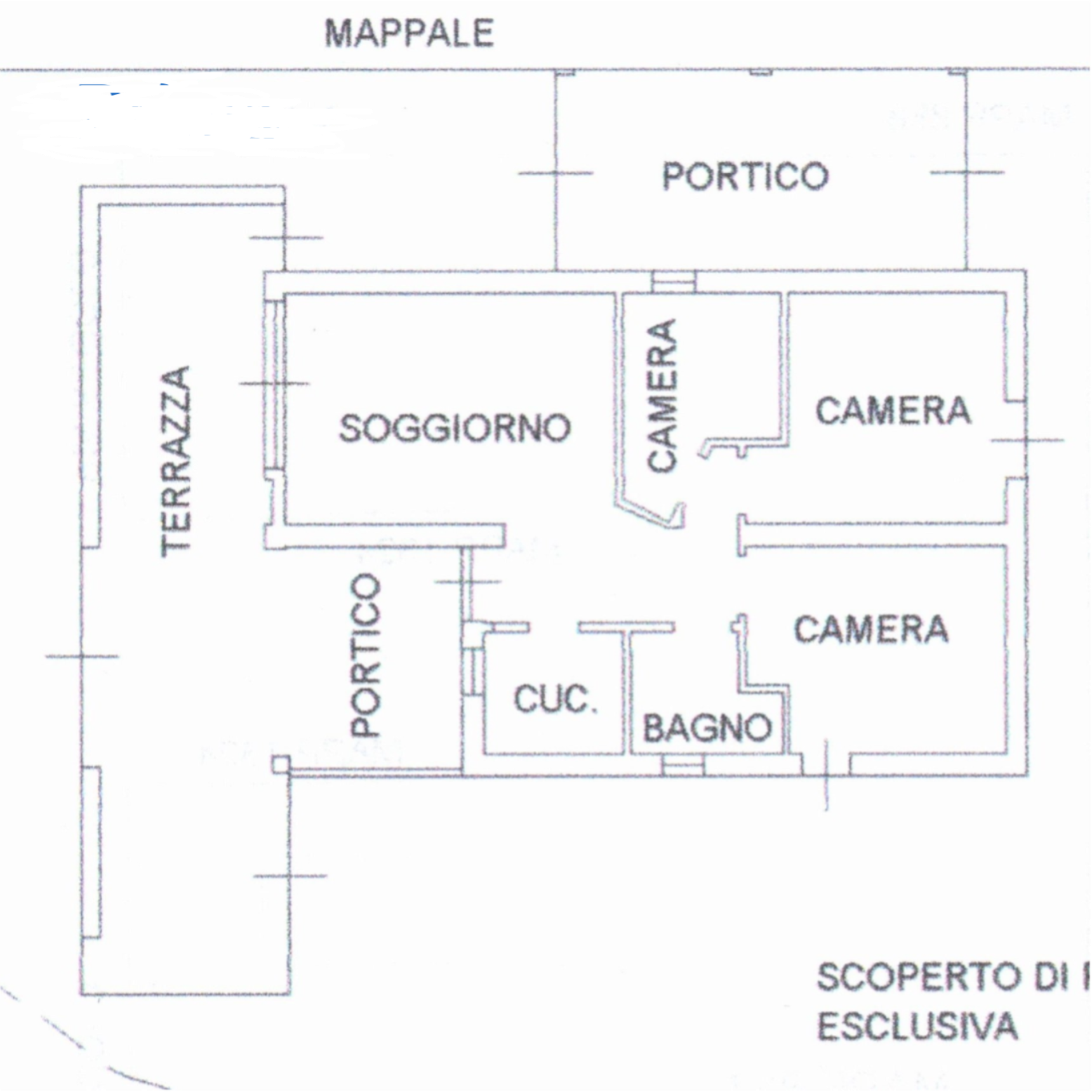 Pianta Originale