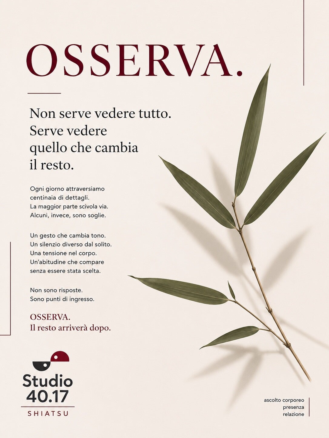 OSSERVA. Non serve vedere tutto. Serve vedere quello che cambia il resto. Studio 40.17