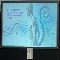 img_0865-standard.jpg