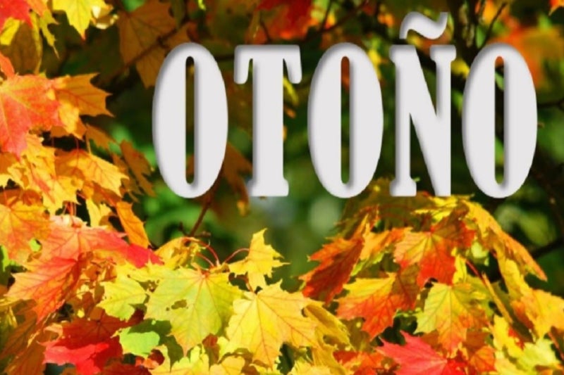 Herfst in Spanje - Spanje in de herfst. Herfst in het Castilaans “otoño” is een goed seizoen om Spanje met een bezoek te vereren