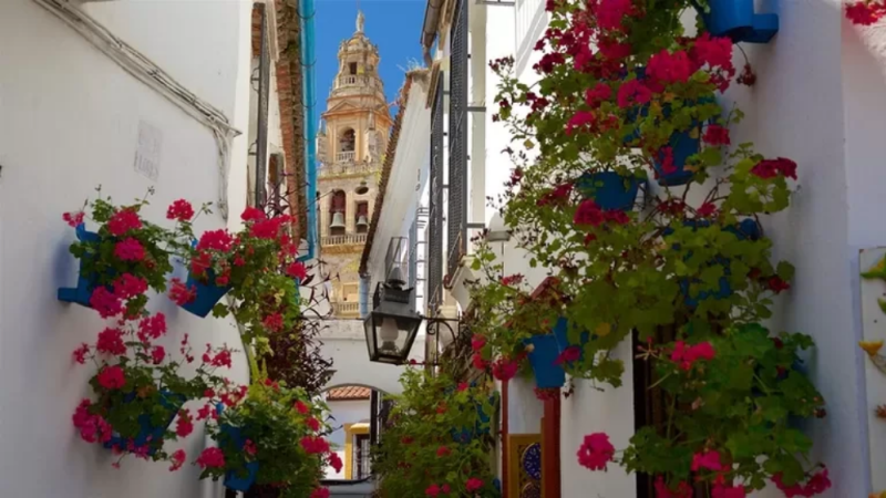 Calleja de las Flores in Córdoba