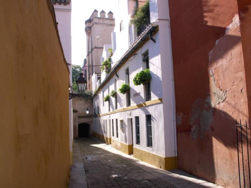 De stam van betekenen is 'beteken'. Nu de stam bekend is, is het ook eenvoudig om te bepalen of er een -t of een -d achter geplaatst moet worden. Onthoud dat betekent (met -t) nooit in de verleden tijd gebruikt wordt, en betekend (met -d) nooit in de tege