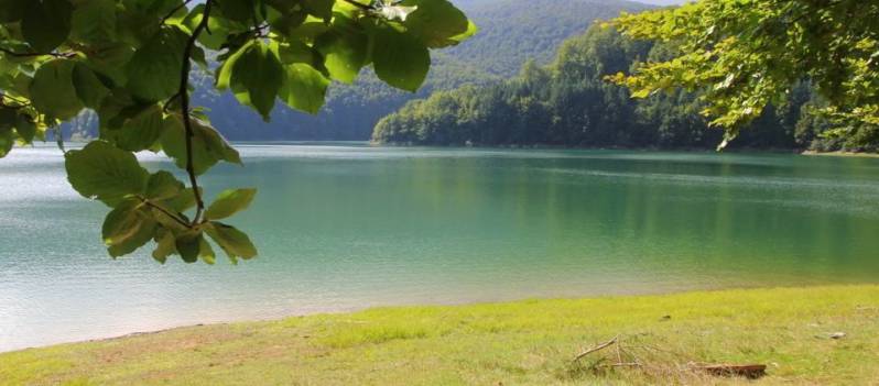 Het Woud  Selva de Irati in Navarra