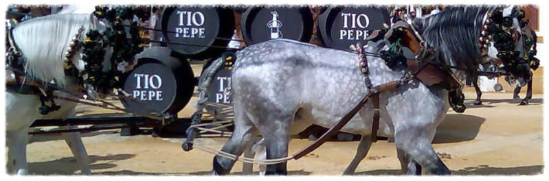 Sherry, Andalusië, Jerez de la Frontera