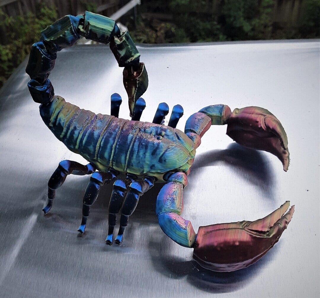 scorpion articulé