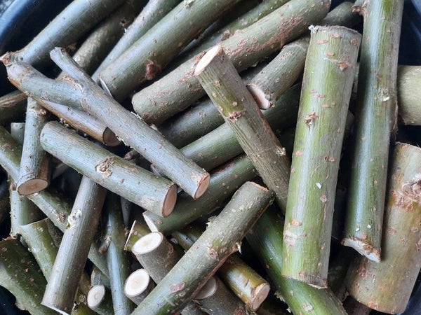 DIY wilgen knaaghout