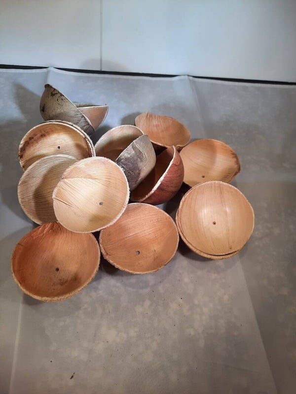 DIY palm bakje rond