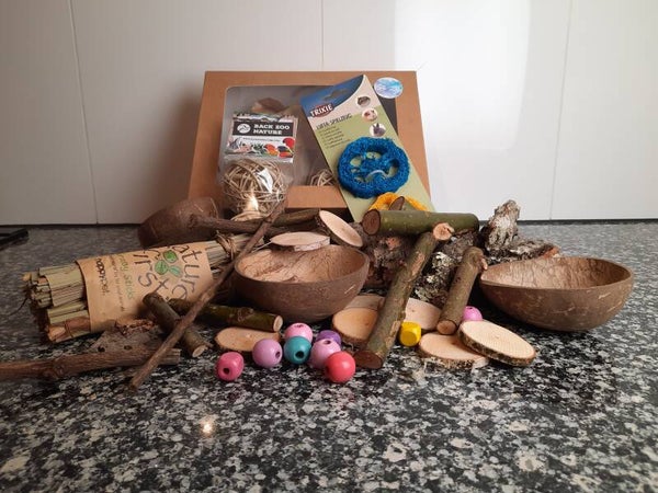 DIY speelgoed pakket basis vogel