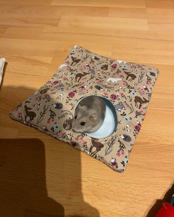 Custom hamsternest