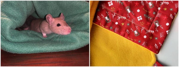 Kerstpakket