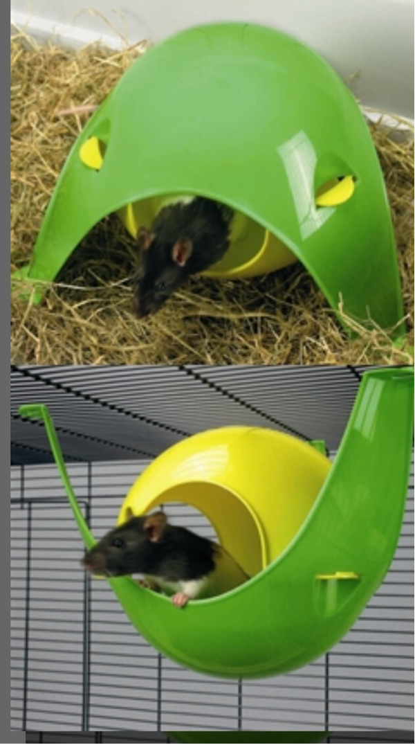Savic Sputnik XL