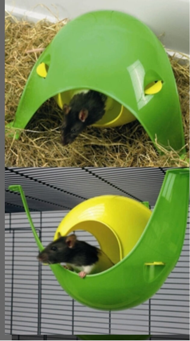 Savic Sputnik XL
