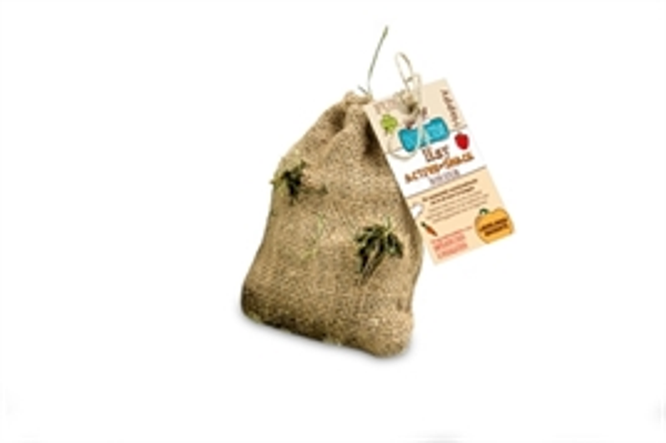 Bunny Nature hooi active snack groenten