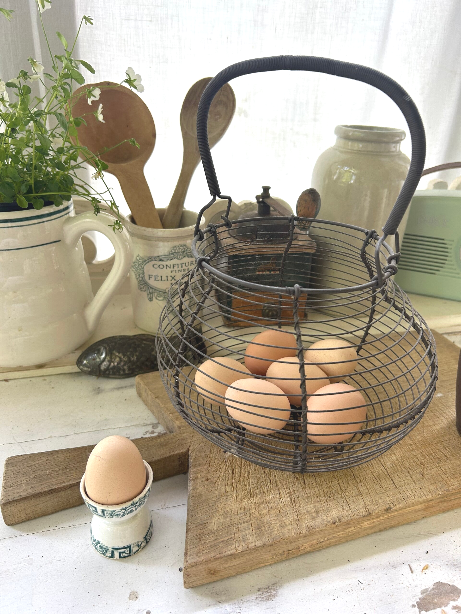 Panier à salade (ou œufs)