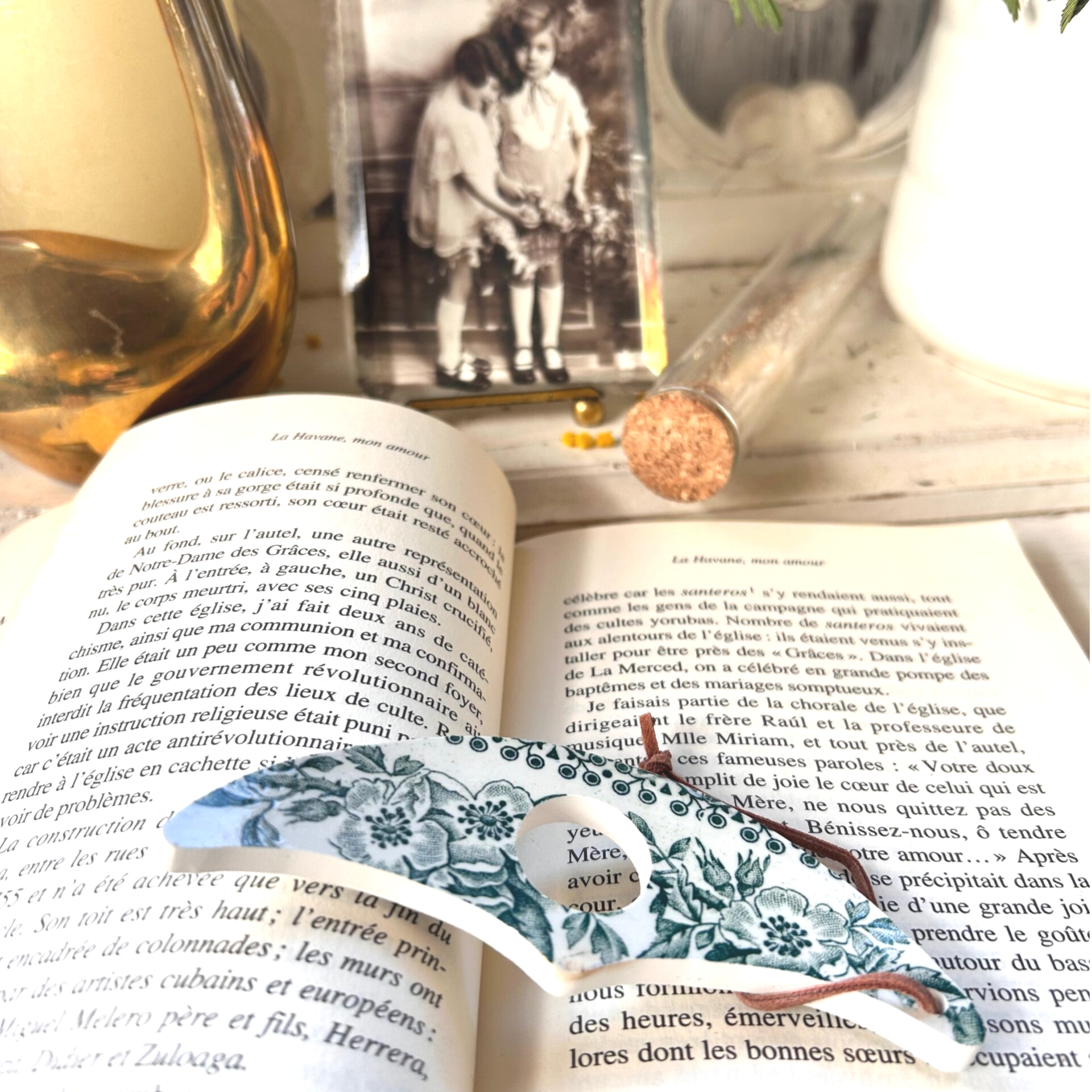 Bague de lecture - terre de fer