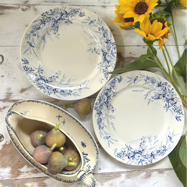 Duo d’assiettes Linotte