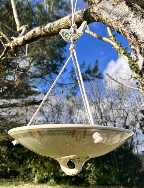 Mangeoire à oiseaux - Longwy