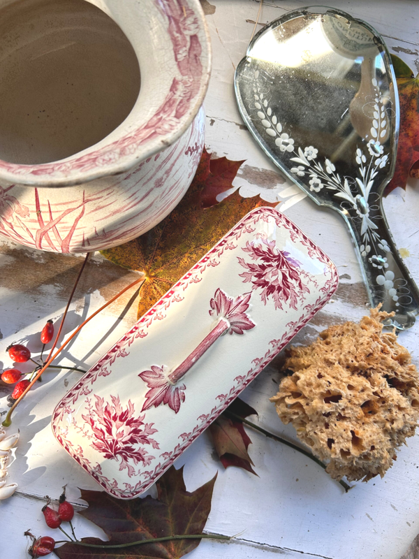 Boîte rectangulaire Sarreguemines – Modèle Doria