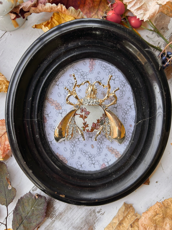 Cadre Cabinet de curiosités - insecte doré & faïence Sarreguemines Carmen