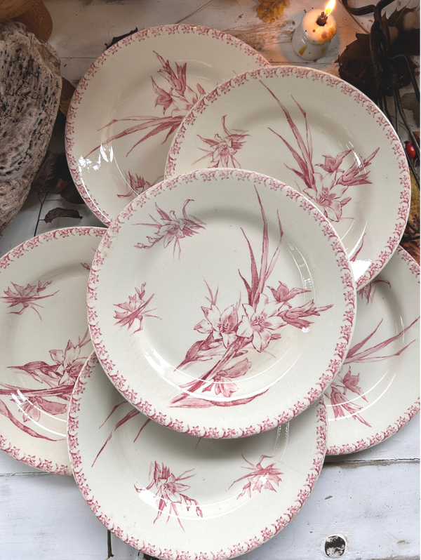 Lot de 6 assiettes plates Gien – Terre de fer – Modèle “Glaïeuls”