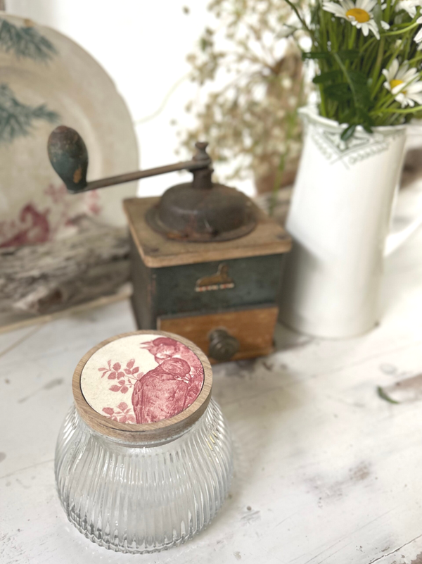 Pot de conservation oiseaux