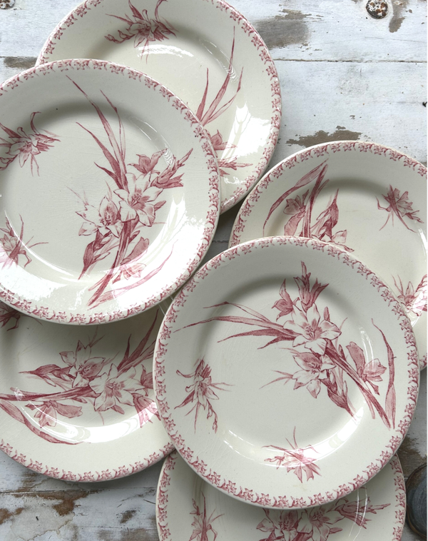 Lot d’assiettes Glaïeul