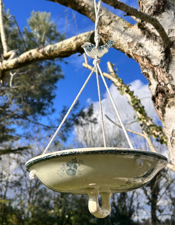 Mangeoire à oiseaux - Castres