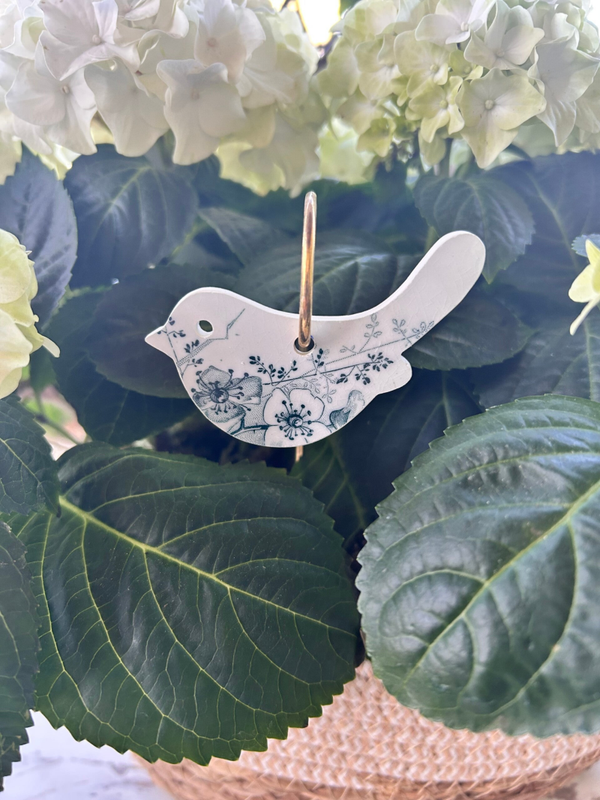 Oiseaux à piquer - pique dorée