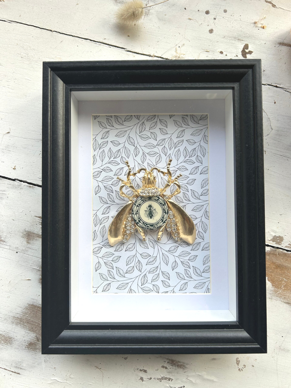 Cadre Cabinet de Curiosité – Insecte doré & faïence Salins Cambaceres