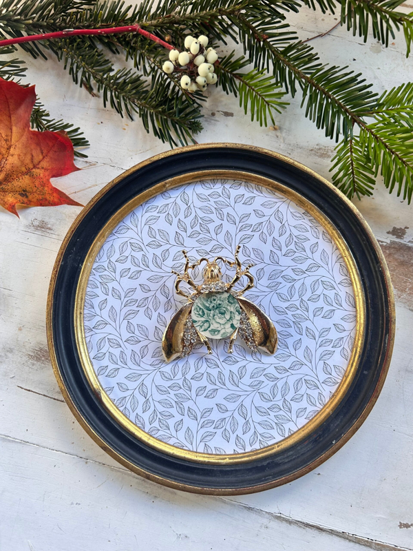 Cabinet de curiosité – Lueur Botanique n°1 - L’Insecte d’Or