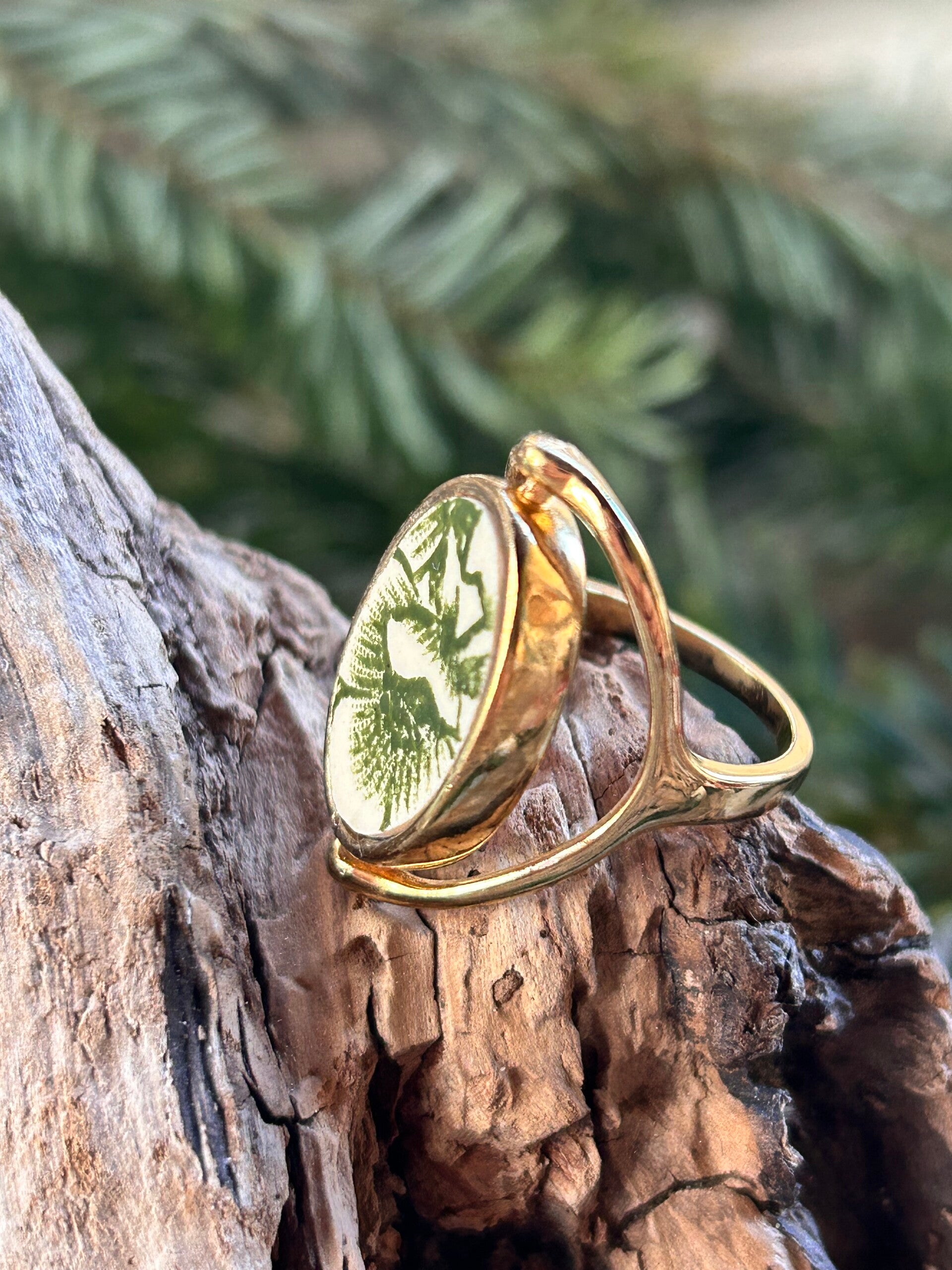 Bague réversible - jardin d’hivers - terre de fer