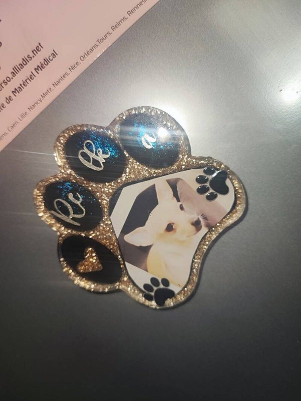 Magnet souvenir animal
