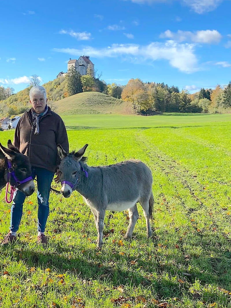 Miniaturesel, Waldburg, Berge, Buchung, Eselzeit-Waldburg, Abenteuer, Ferienregion Oberschwaben, Allgäu, Bodensee